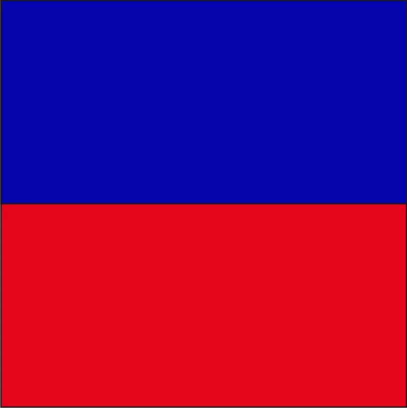 Code Flag "E" 30cm x 45cm