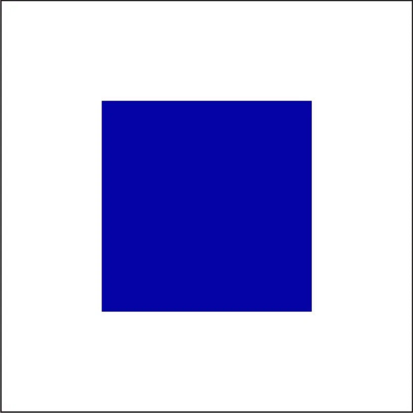 Code Flag "S" 30cm x 45cm