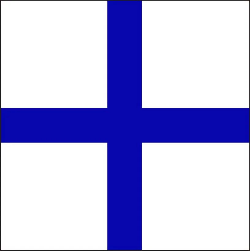 Code Flag "X" 30cm x 45cm