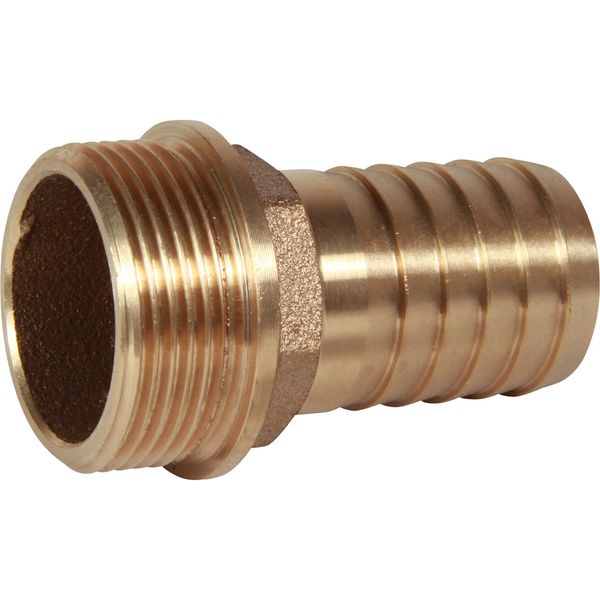 Bronze Hose Tail