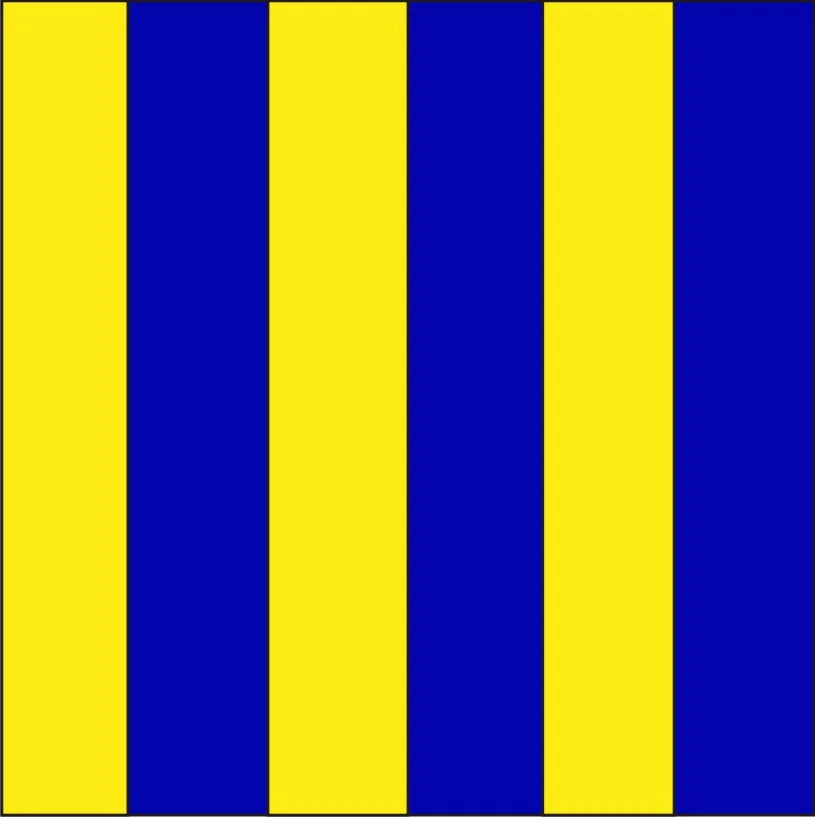 Code Flag "G" 30cm x 45cm