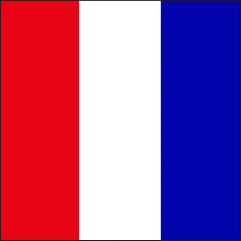Code Flag "T" 30cm x 45cm