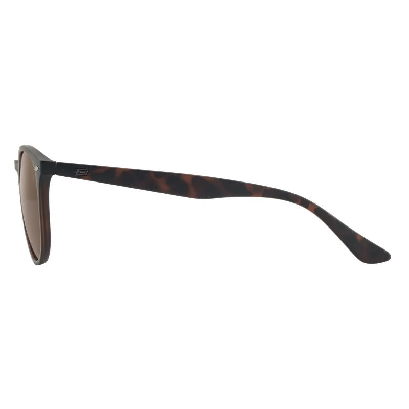 Dirty Dog Racoon Sunglasses