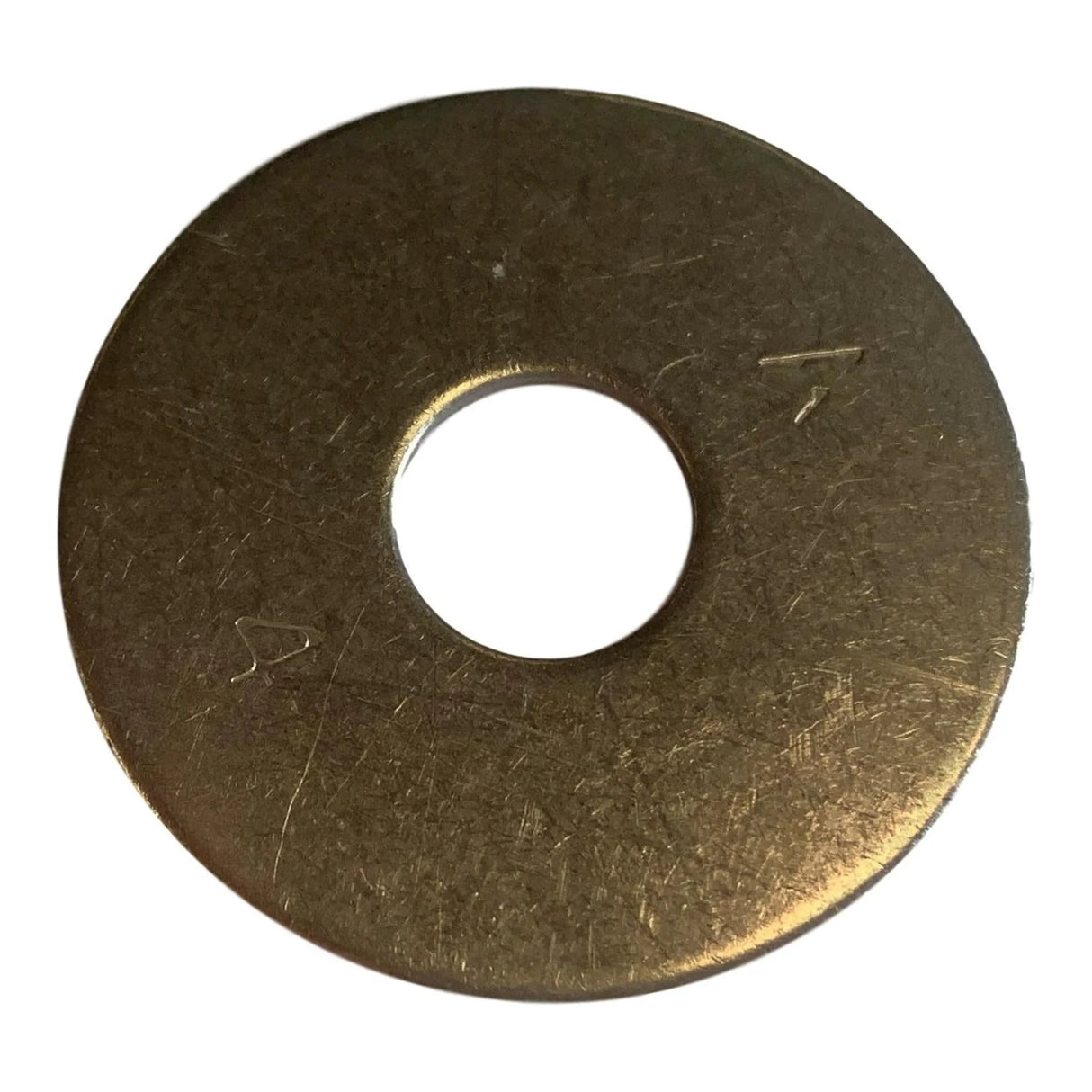 Holt Stainless Steel Penny Washer