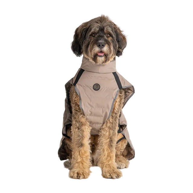 Commodus Dog Coat, Cobblestone