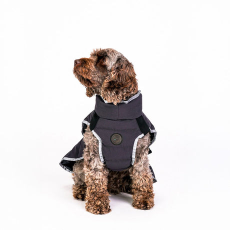 Pelle P Commodus Dog Coat