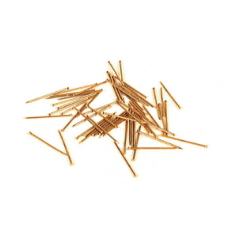 Holt Brass Panel Pins 3/4"