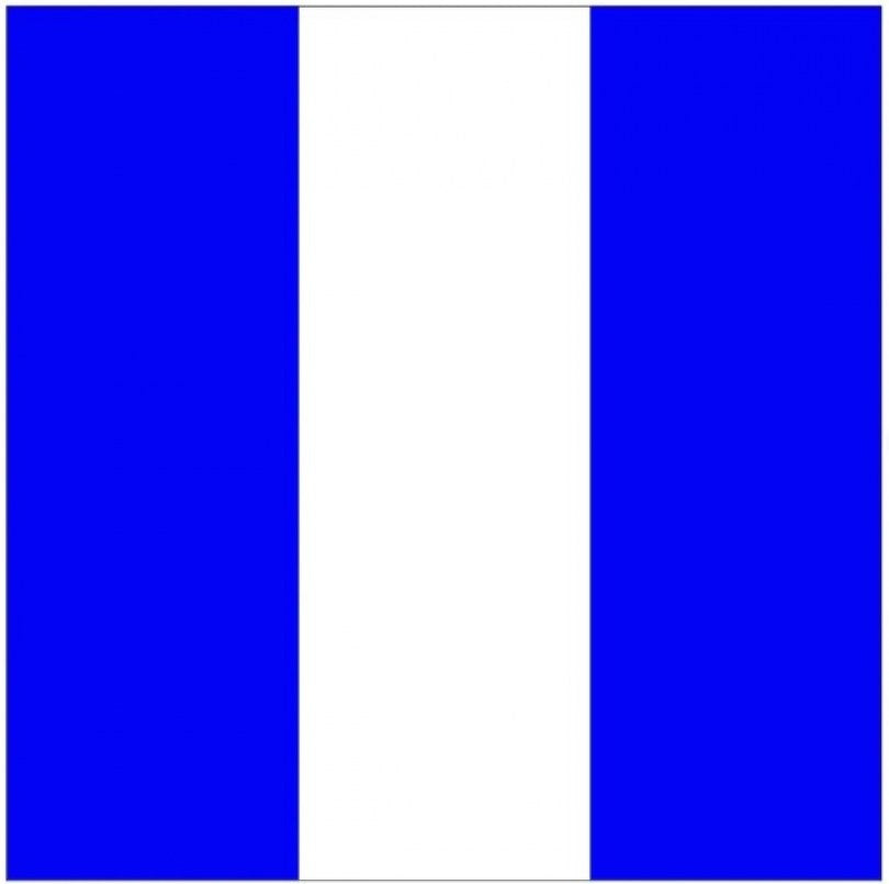 Naval Numeral Flag 9 30x45cm