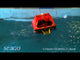 Seago Liferaft Sea Cruiser + ISO9650-1 T2