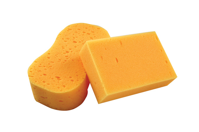 Jumbo Sponge